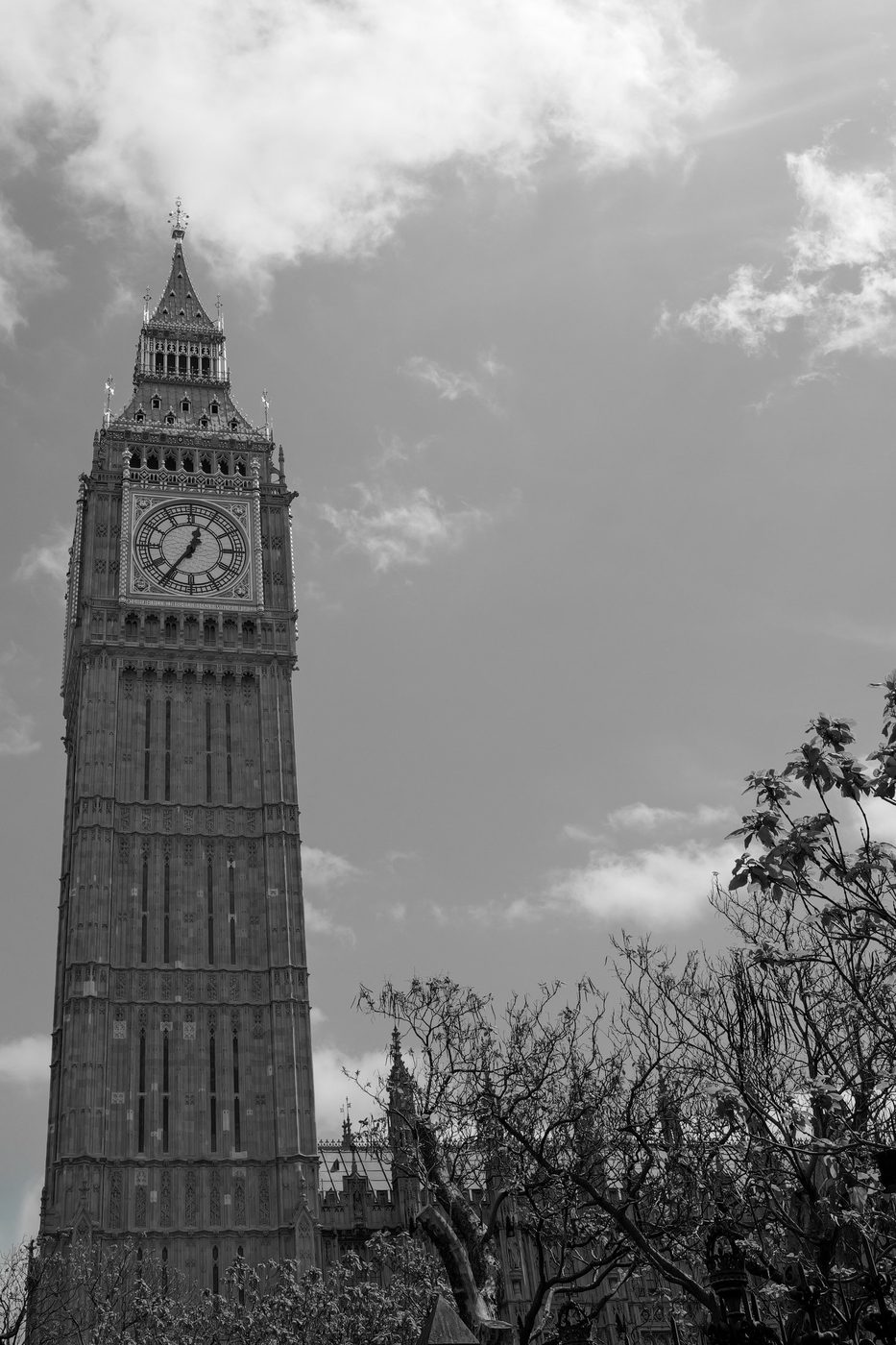 Big Ben rising above the bare trees of Parliament Square, London