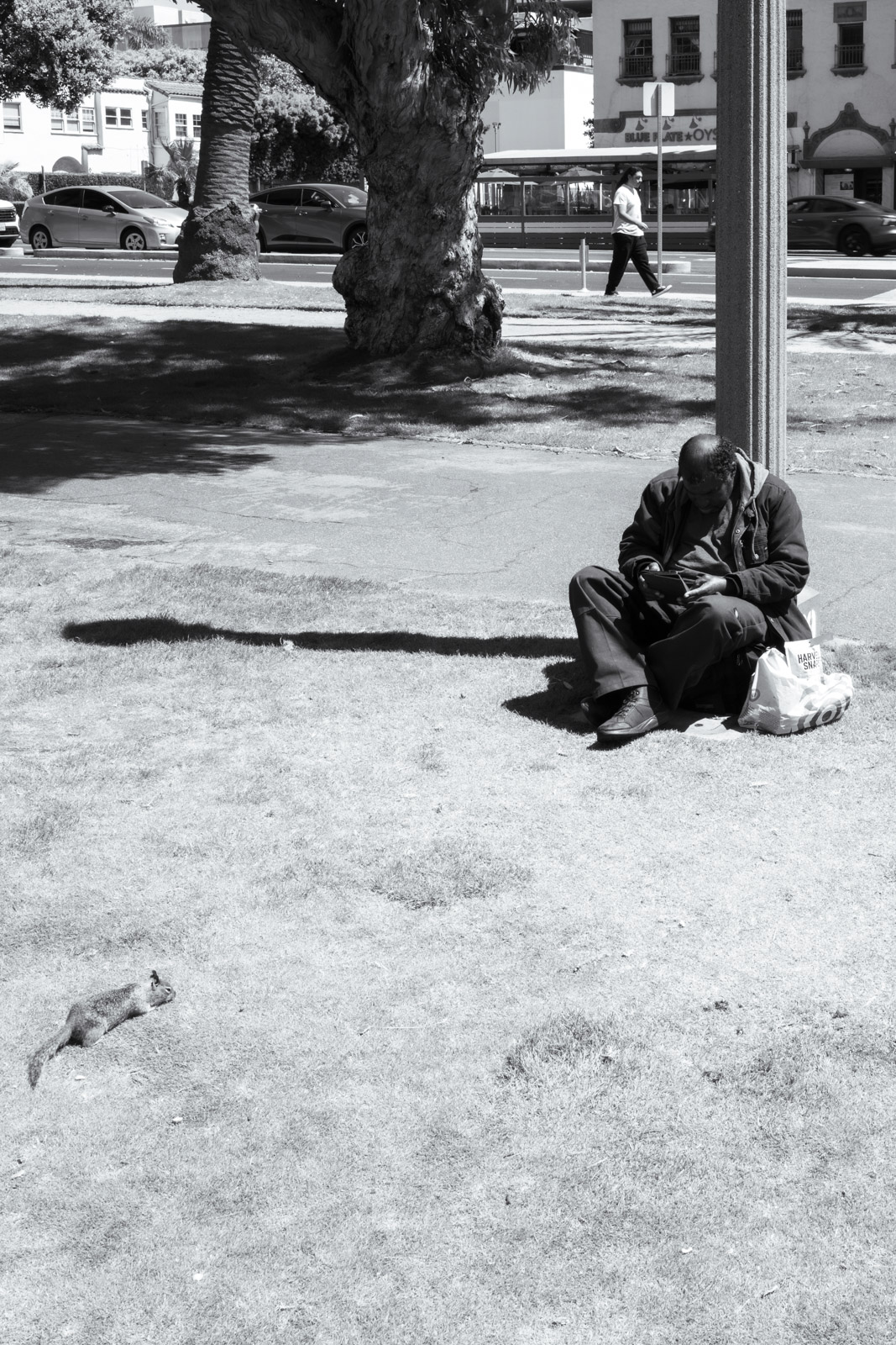 Man sitting alone at the foot of a tree, bag beside him, Los Angeles