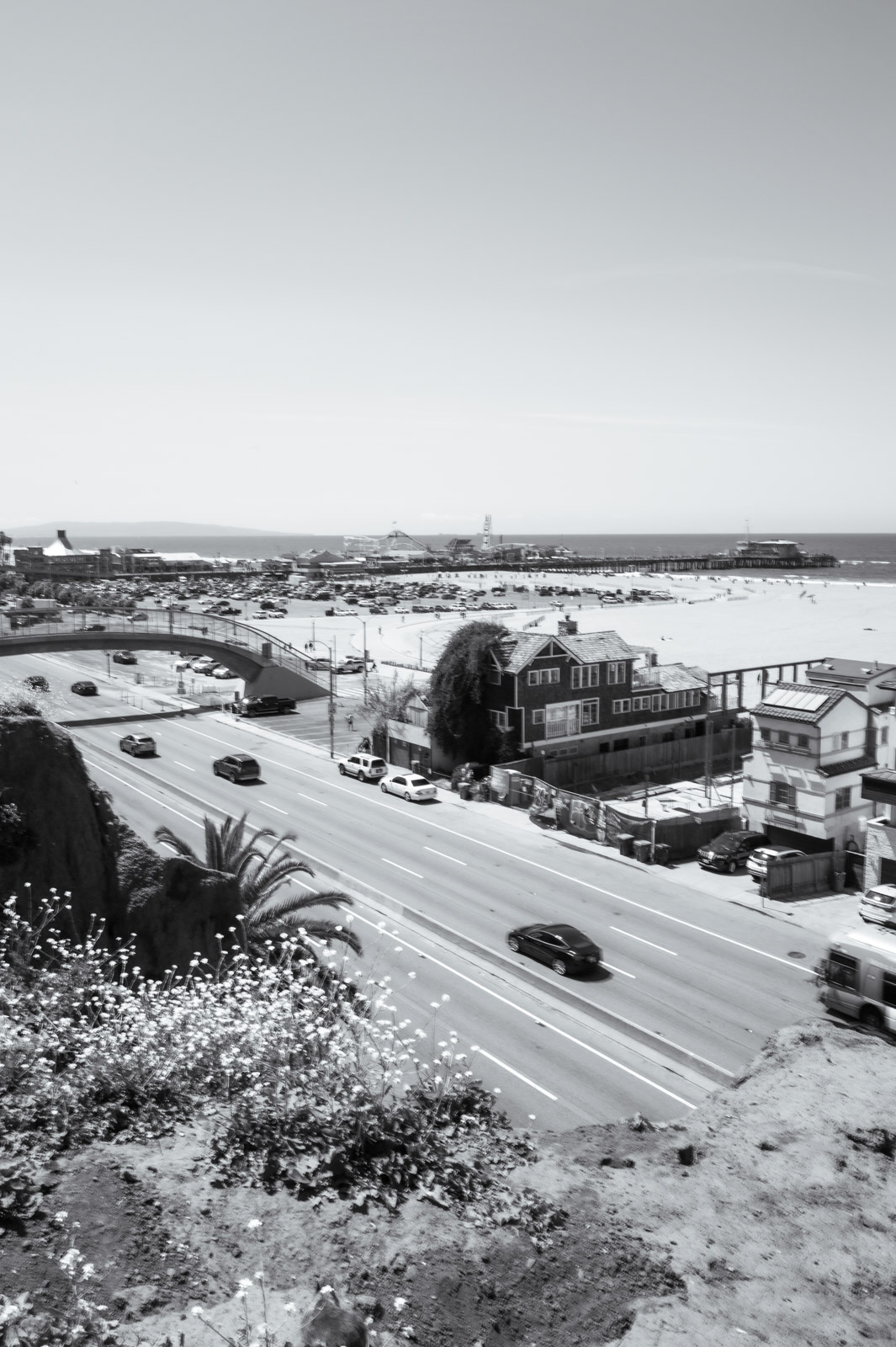 Overhead view of a palm-lined coastal highway, Los Angeles