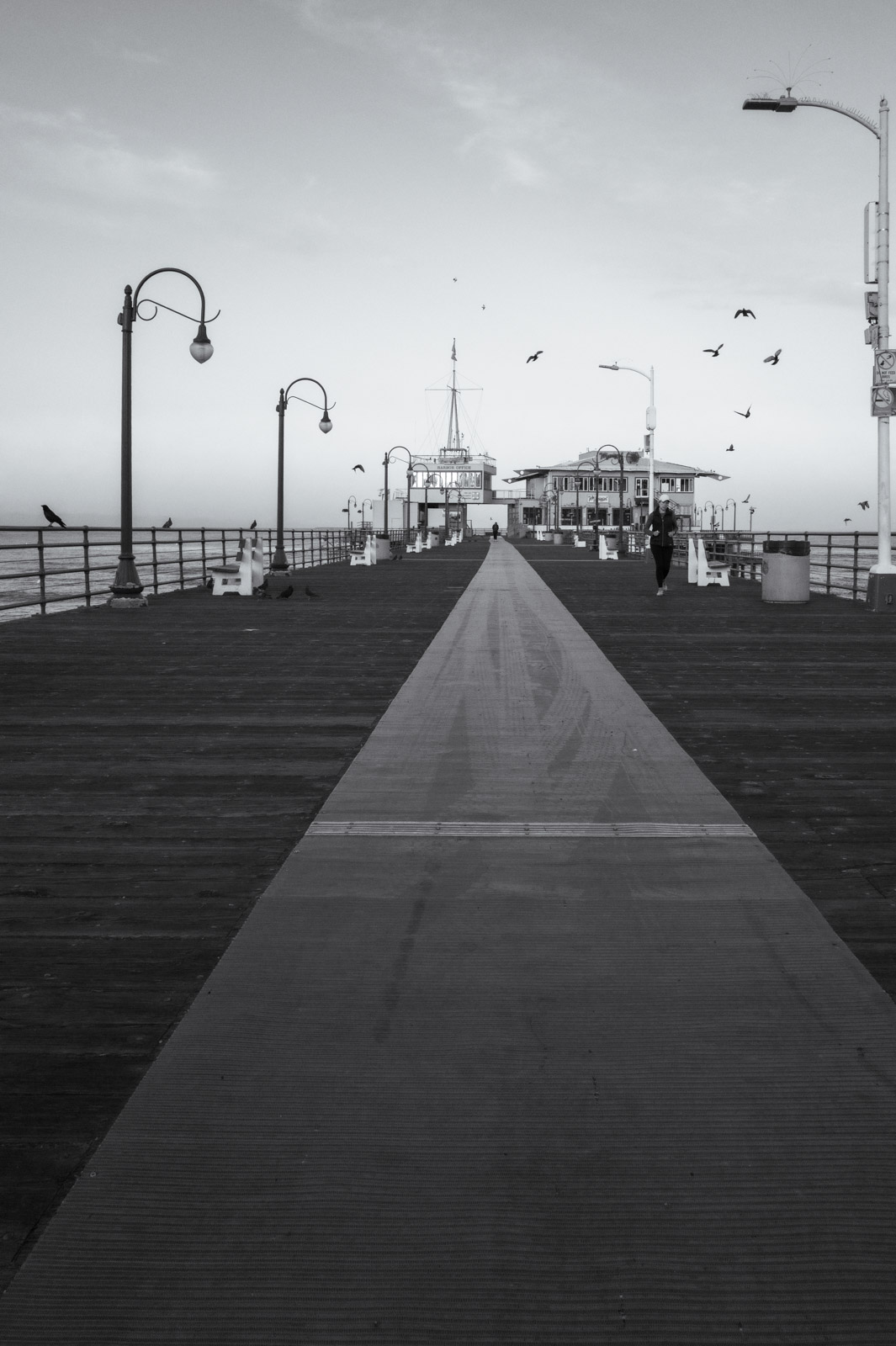 Wooden walkway leading straight to the ocean at dusk, Los Angeles