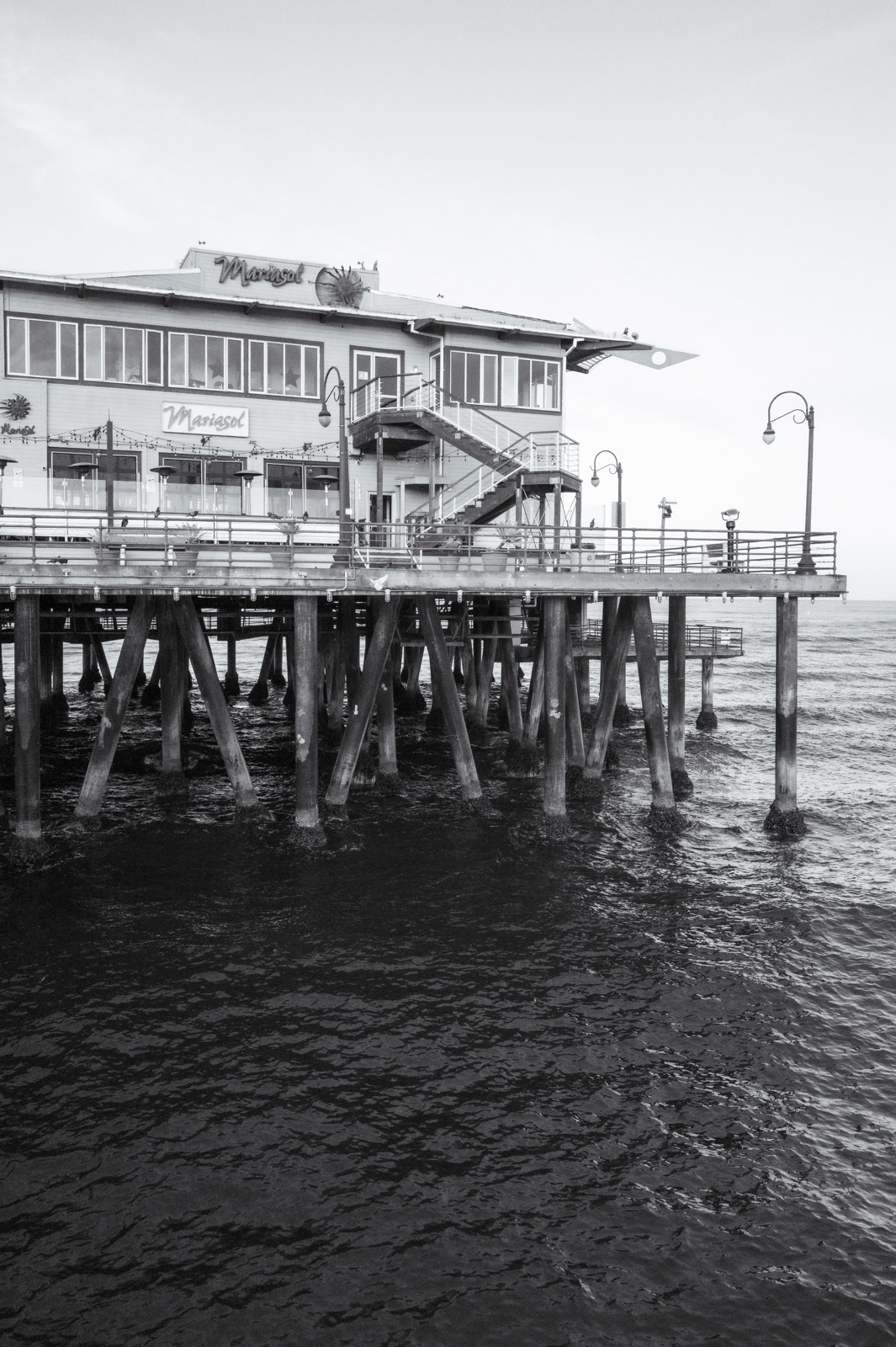 Santa Monica Pier and its ferris wheel seen from the water, Los Angeles