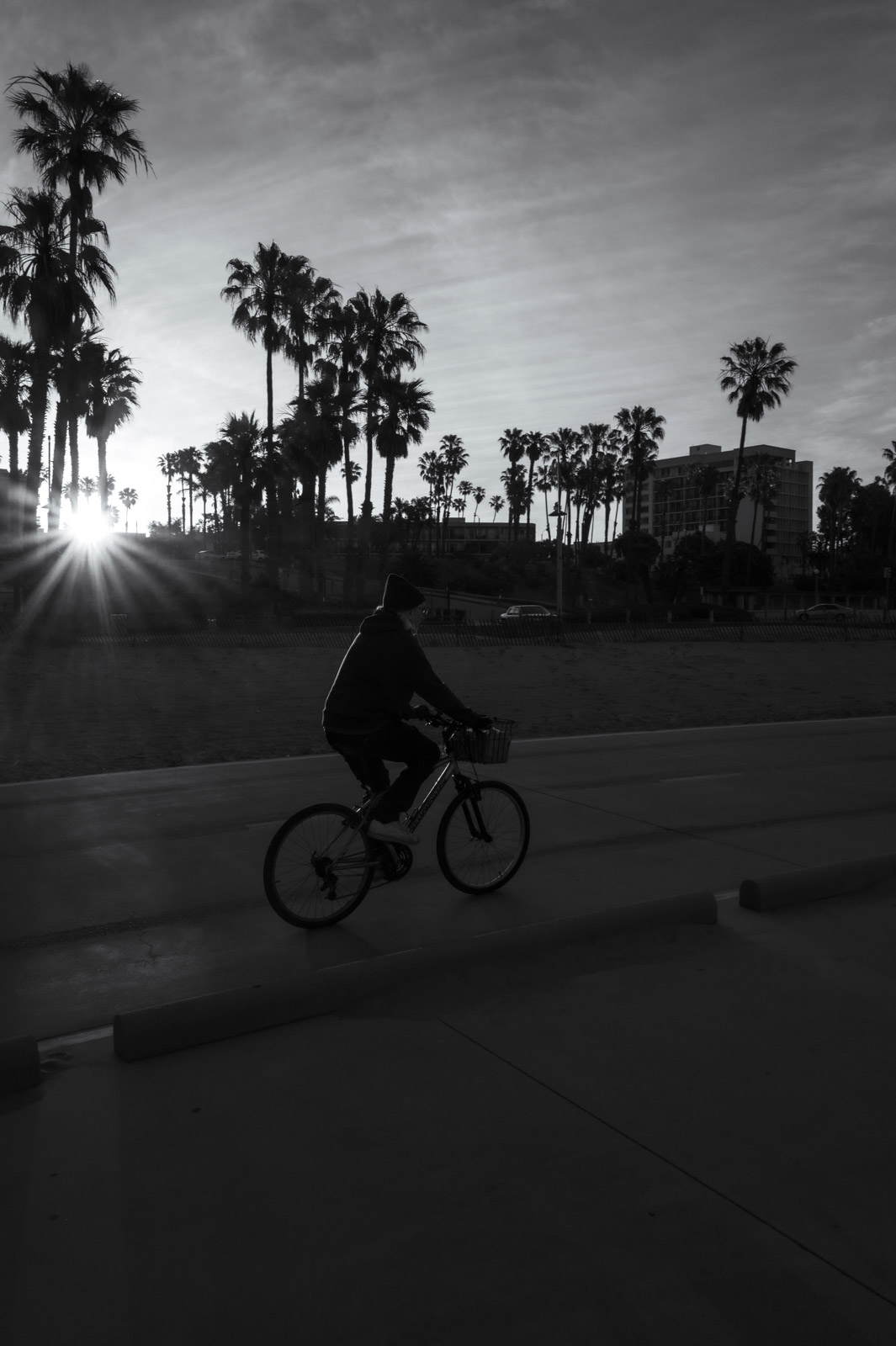 Backlit cyclist at sunrise, palm trees in silhouette, Los Angeles