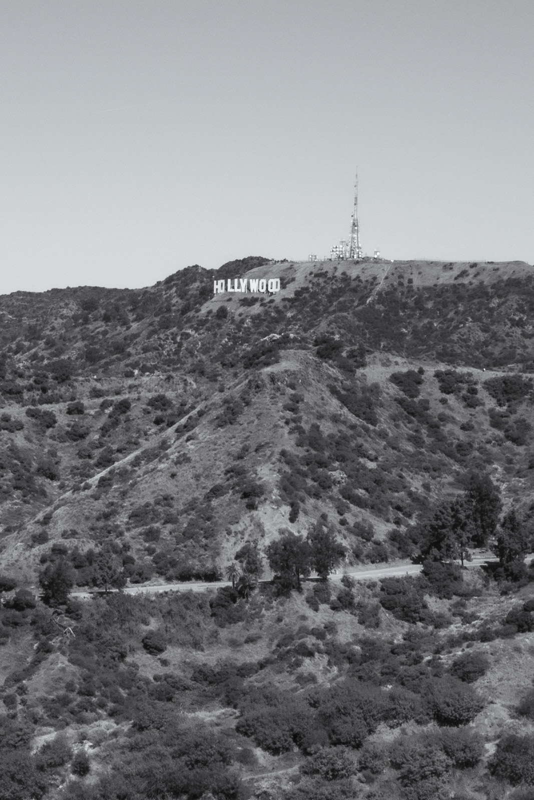 Hollywood Sign hill seen from Griffith Park, Los Angeles