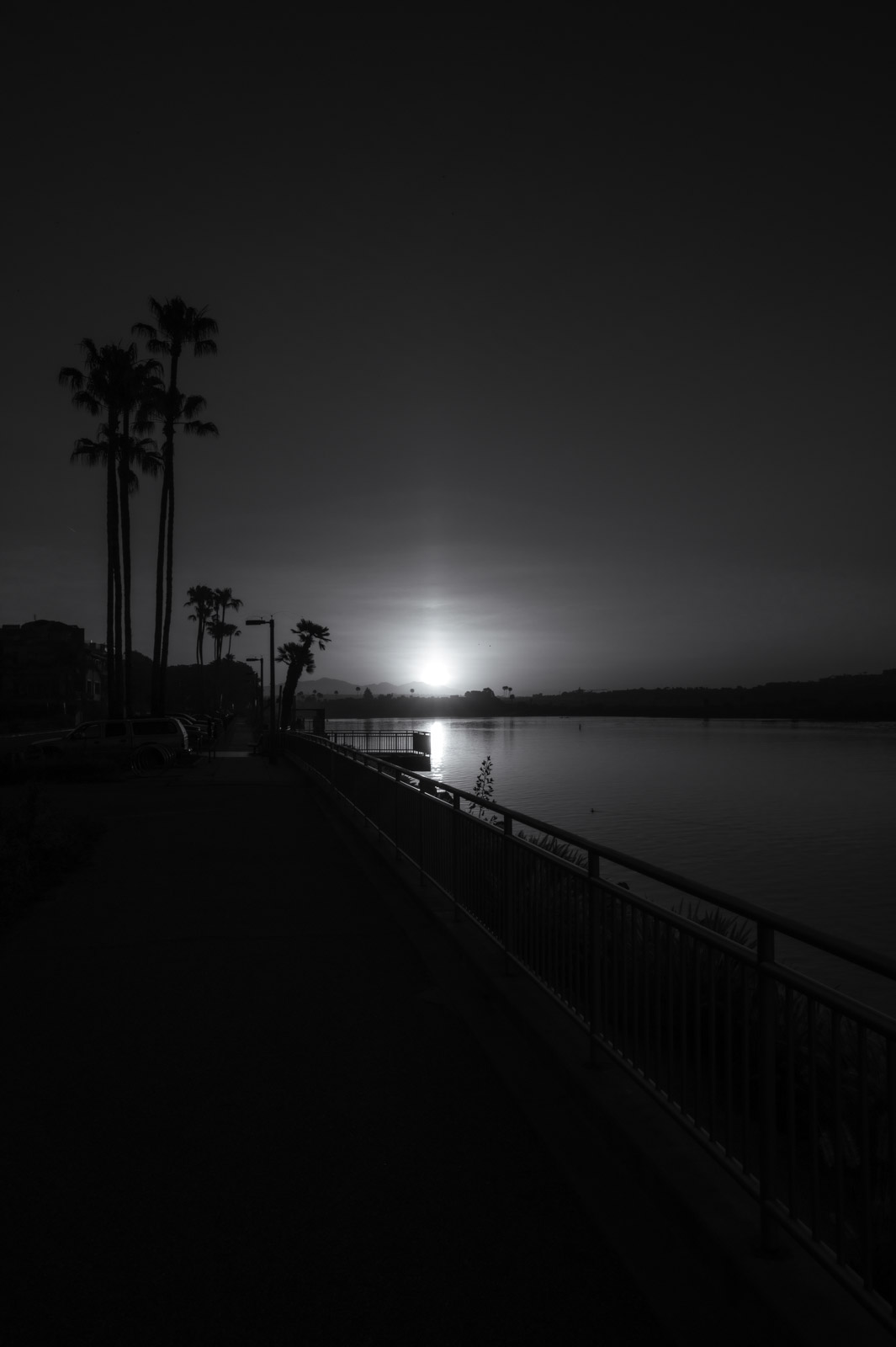 Sunset over a palm-lined lagoon, Los Angeles