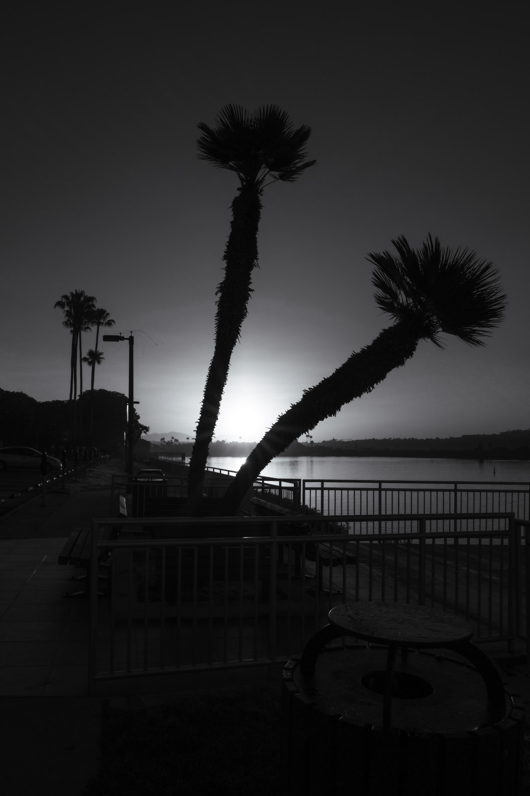 Two leaning palm trees in silhouette at sunset, Los Angeles