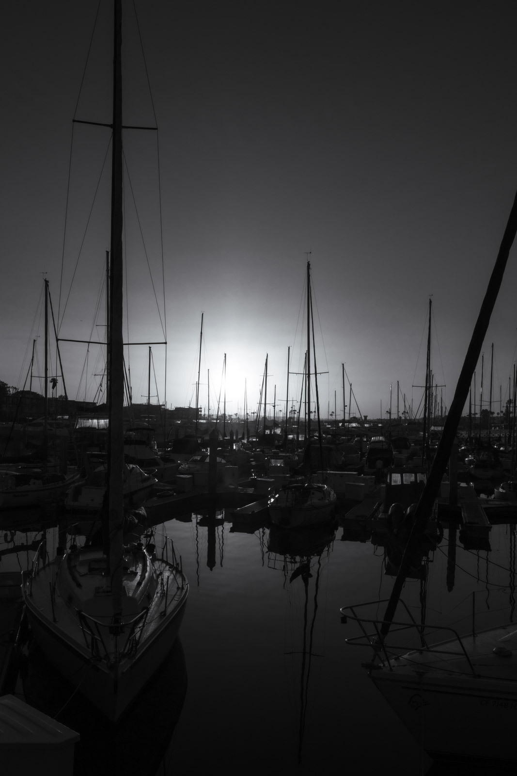 Backlit sailboat masts in the marina, Los Angeles