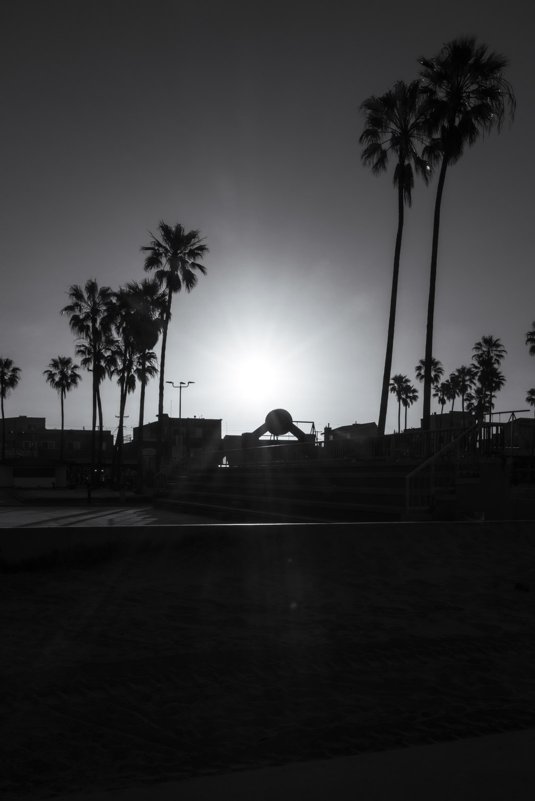 Palm trees in silhouette along the boardwalk at sunset, Los Angeles