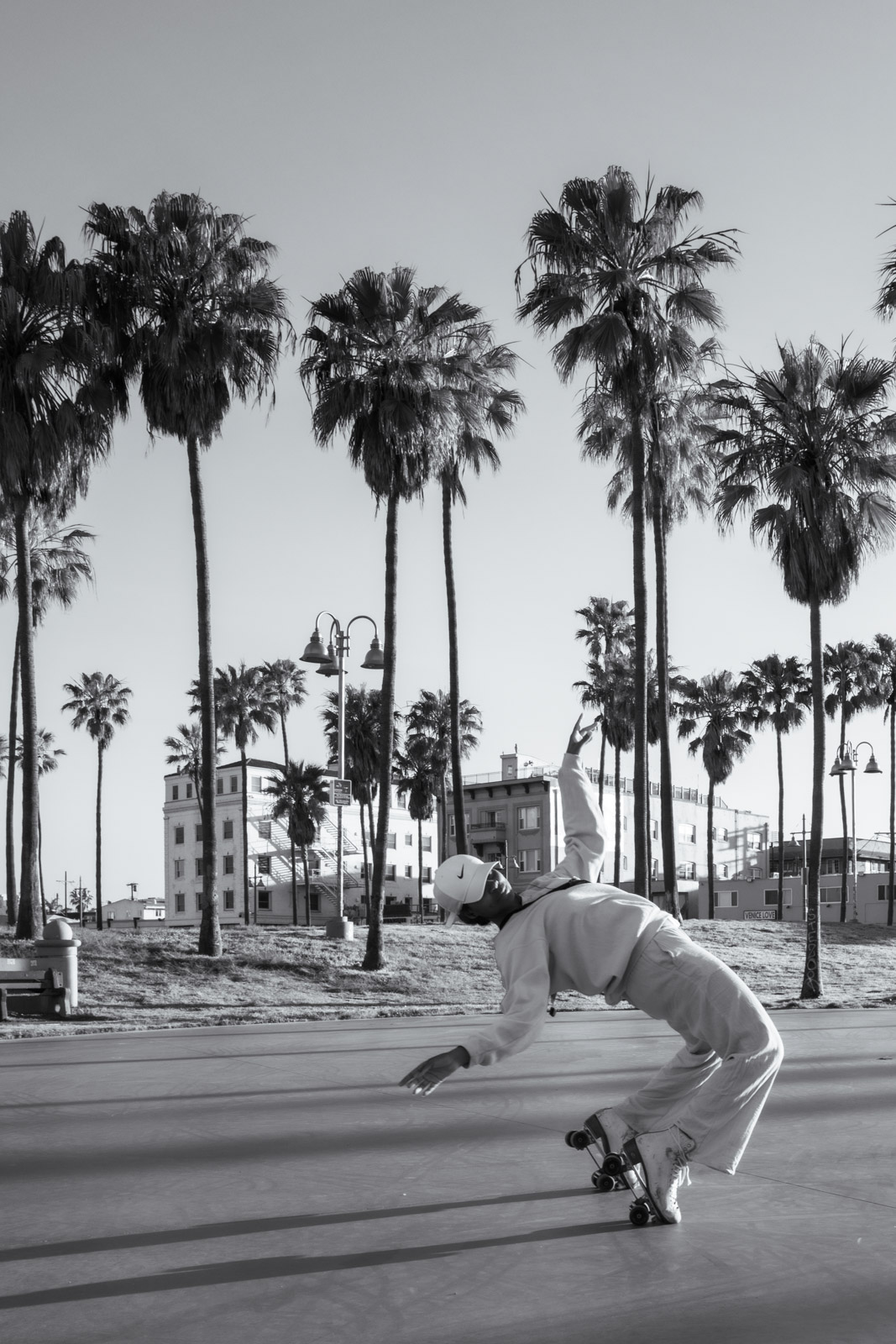Skateboarder mid-trick in front of a row of palm trees, Los Angeles