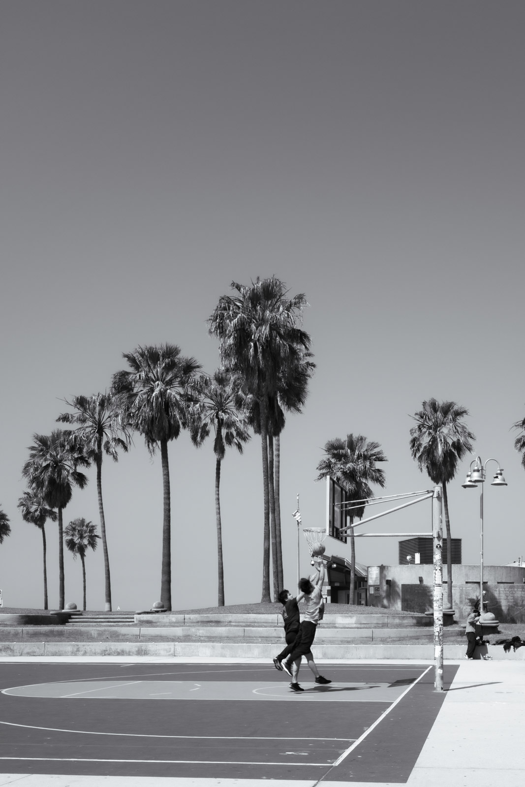 Children playing on a sports court near palm trees, Los Angeles