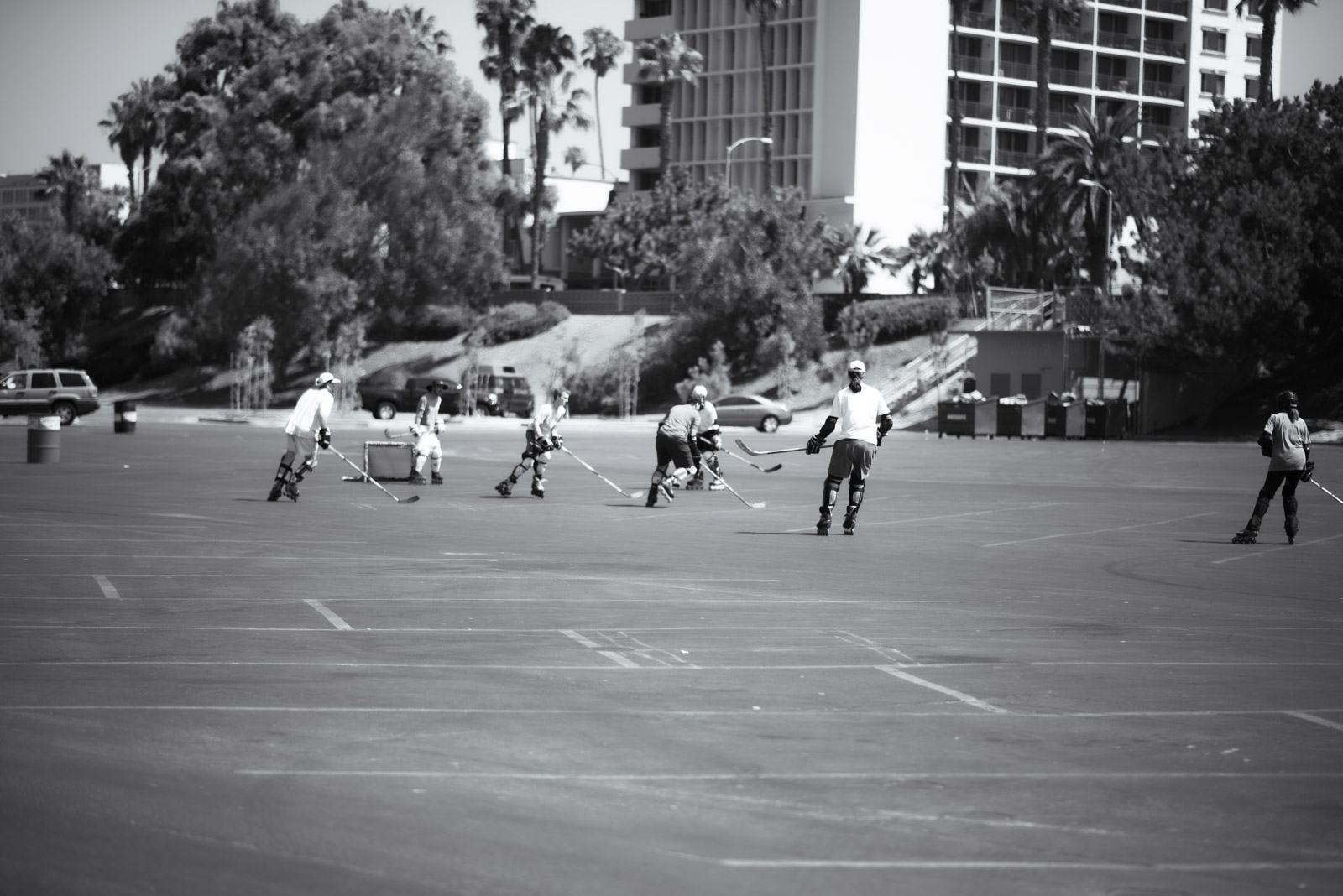 Young people playing on a palm-lined sports field, Los Angeles