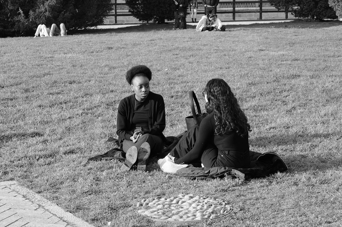 Two friends sitting cross-legged in the grass of a park, deep in conversation, Milan