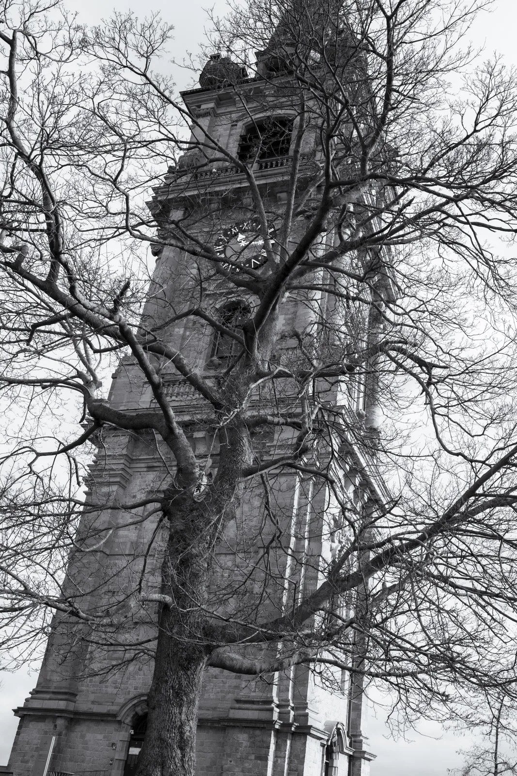 Le beffroi derrière les branches nues d’un arbre, Mons