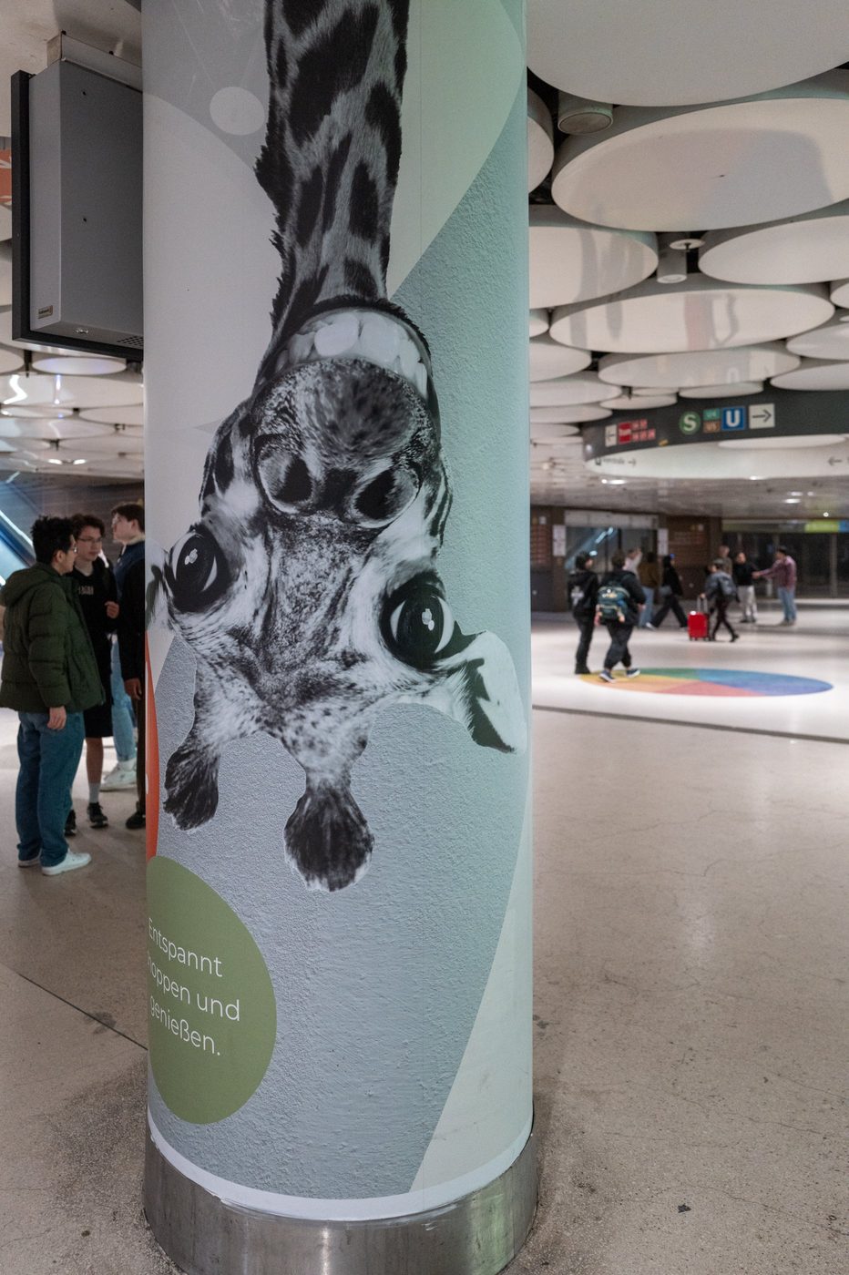 Advertising poster of an animal hanging upside down on a station pillar, Munich