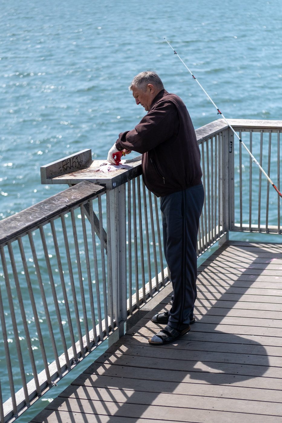 Fisherman cleaning his catch on the pier railing, New York
