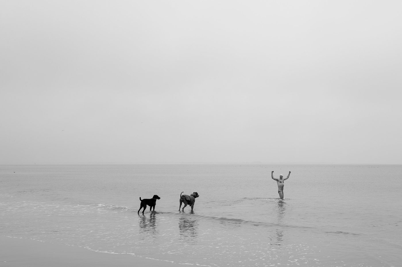 Man raising his arms in the water surrounded by his dogs, New York