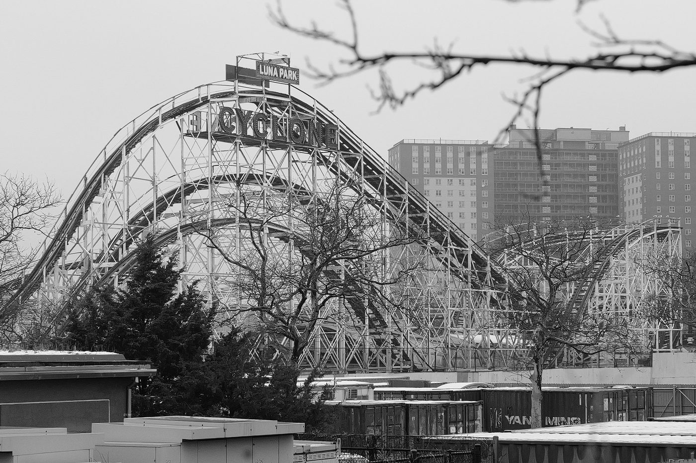Cyclone structure and Luna Park sign behind bare trees, New York