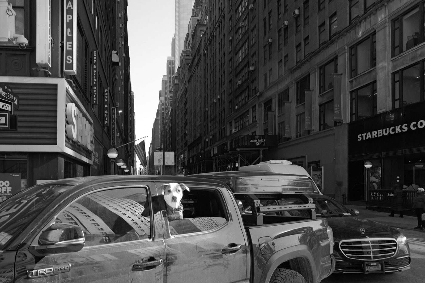 Dog sticking its head out of a pickup truck window on a narrow street, New York