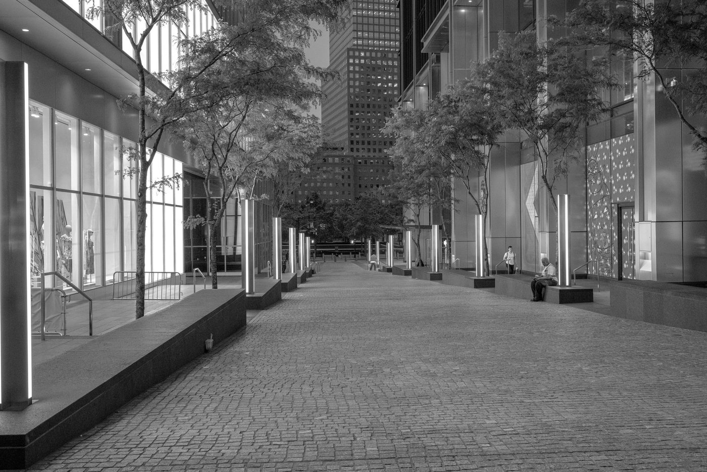 Cobblestone path lined with lit columns between trees, New York