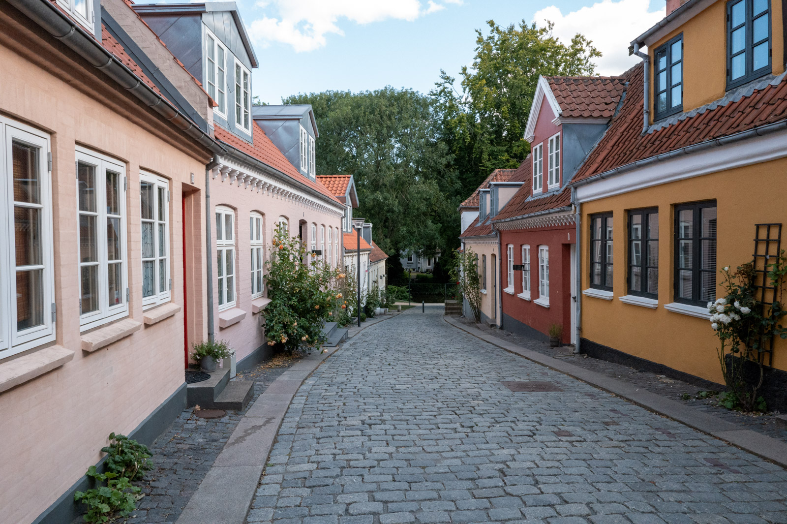 Une rue pavée bordée de maisons basses roses, rouges et jaunes, Odense