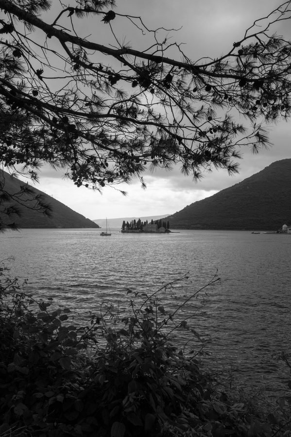 Branche d'arbre se detachant sur un lac calme au crepuscule, Dubrovnik