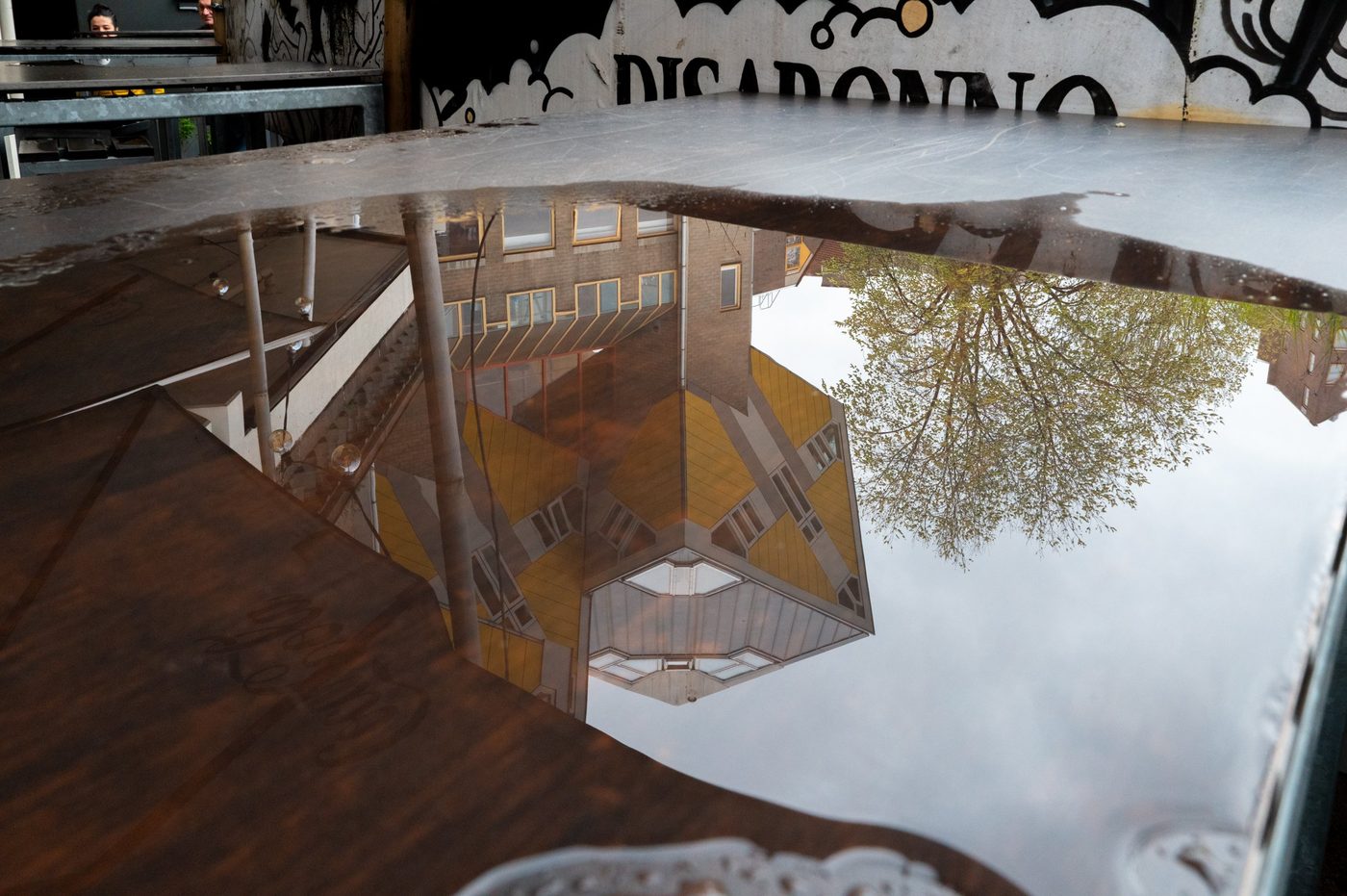Reflection of the cube houses and a tree in a puddle, Rotterdam