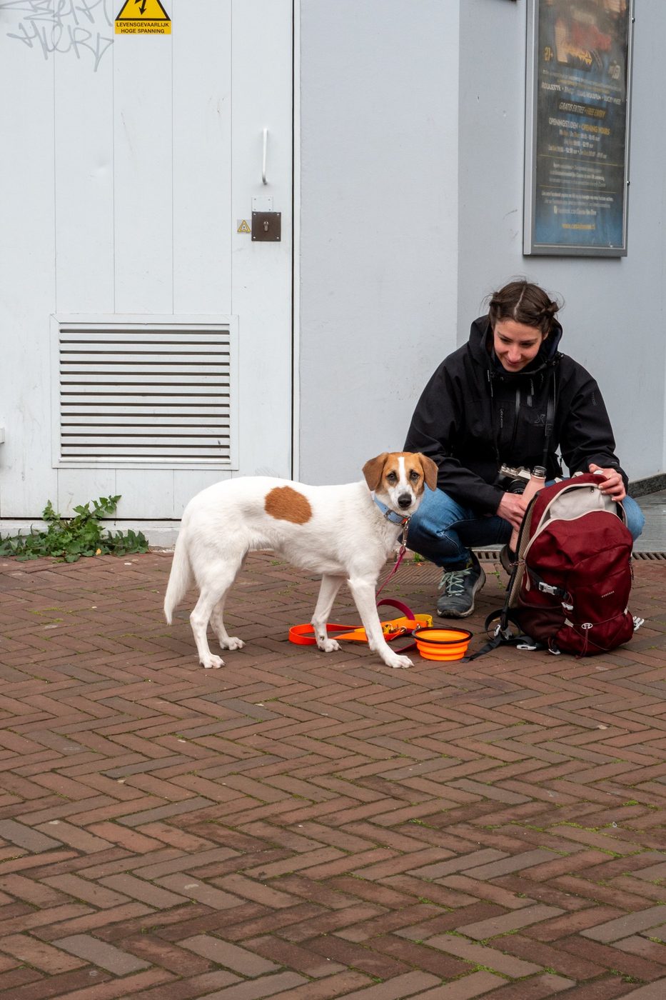 Woman crouching beside a dog next to a backpack, Rotterdam