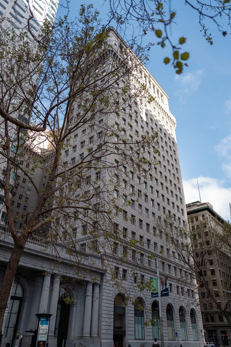 Light stone building framed by the bare branches of a tree, low-angle view, San Francisco