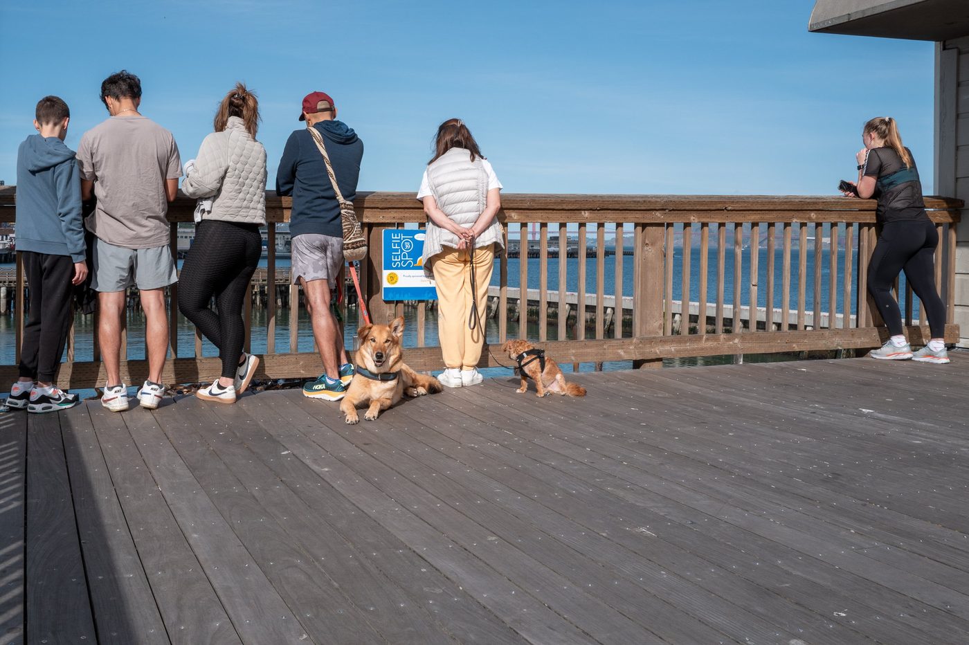 Group of visitors leaning on the railing facing the bay, two dogs at their feet, San Francisco