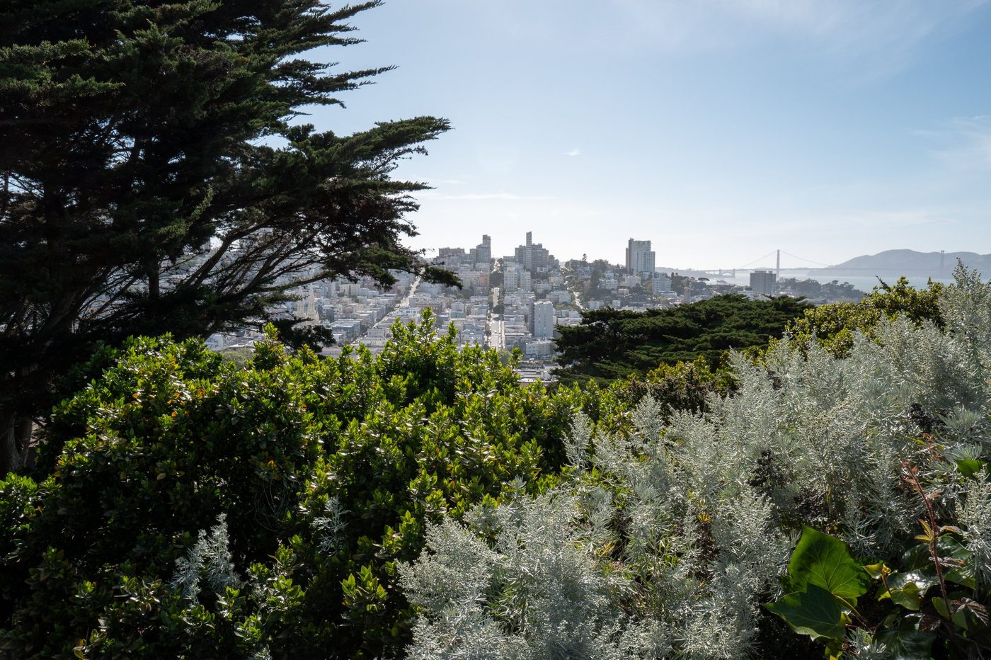 View of the city rooftops from the heights, Golden Gate Bridge visible in the distance, San Francisco