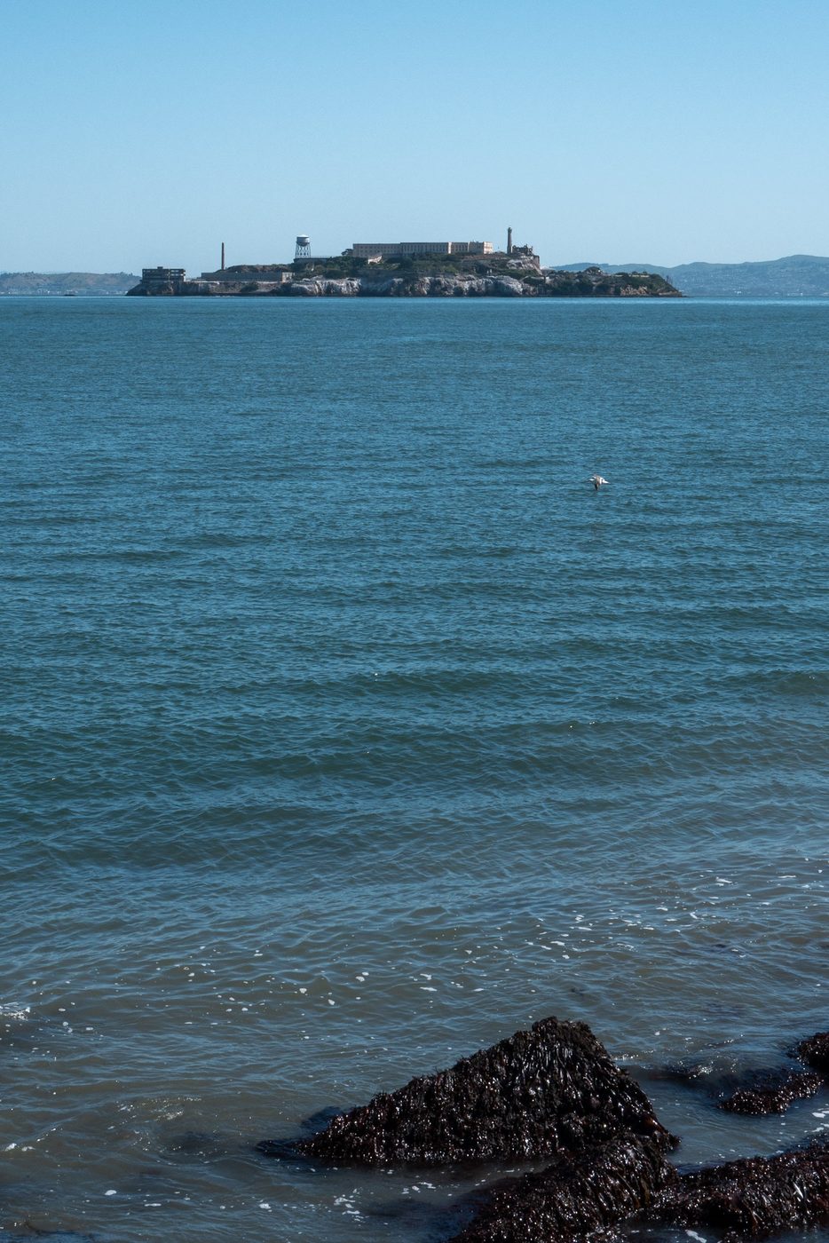 Alcatraz Island standing out against a calm blue sea, San Francisco
