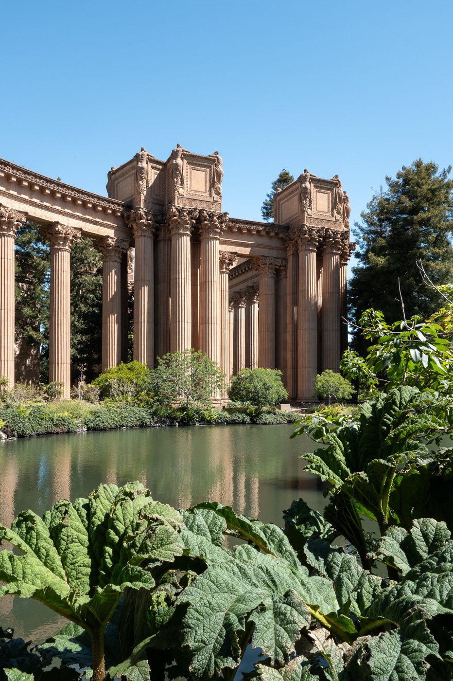 Colonnade of the Palace of Fine Arts seen behind broad leaves at the edge of the lagoon, San Francisco