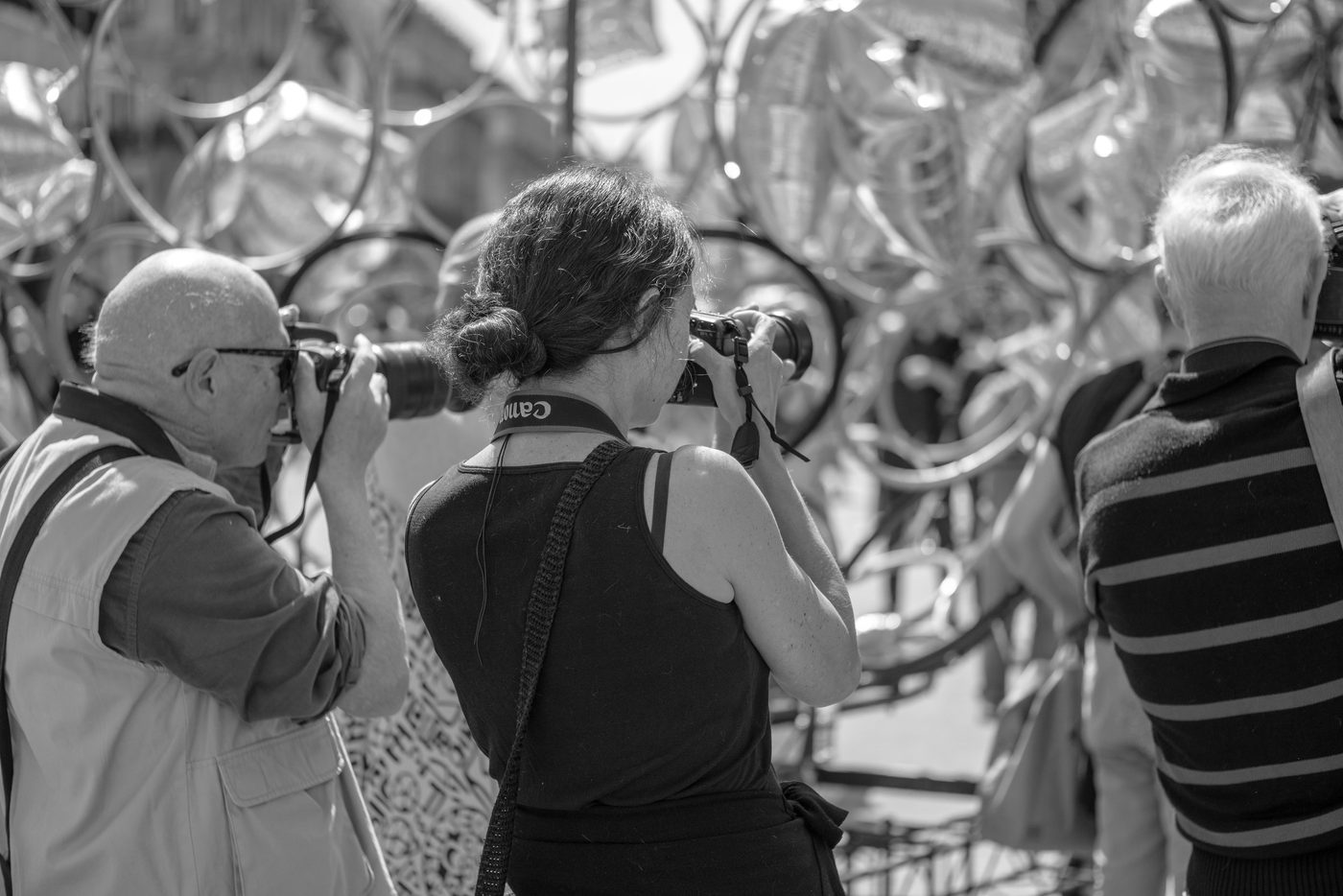 Photographer in action at the Zinneke Parade, Brussels (plate 034)