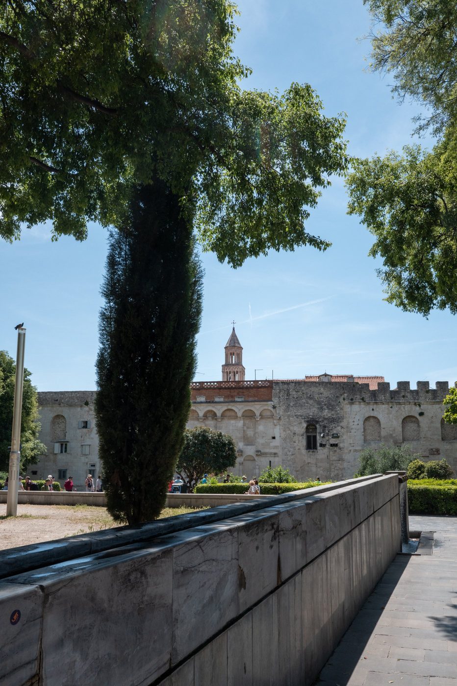 Cypress tree standing in front of the ramparts of Diocletian's Palace, Split