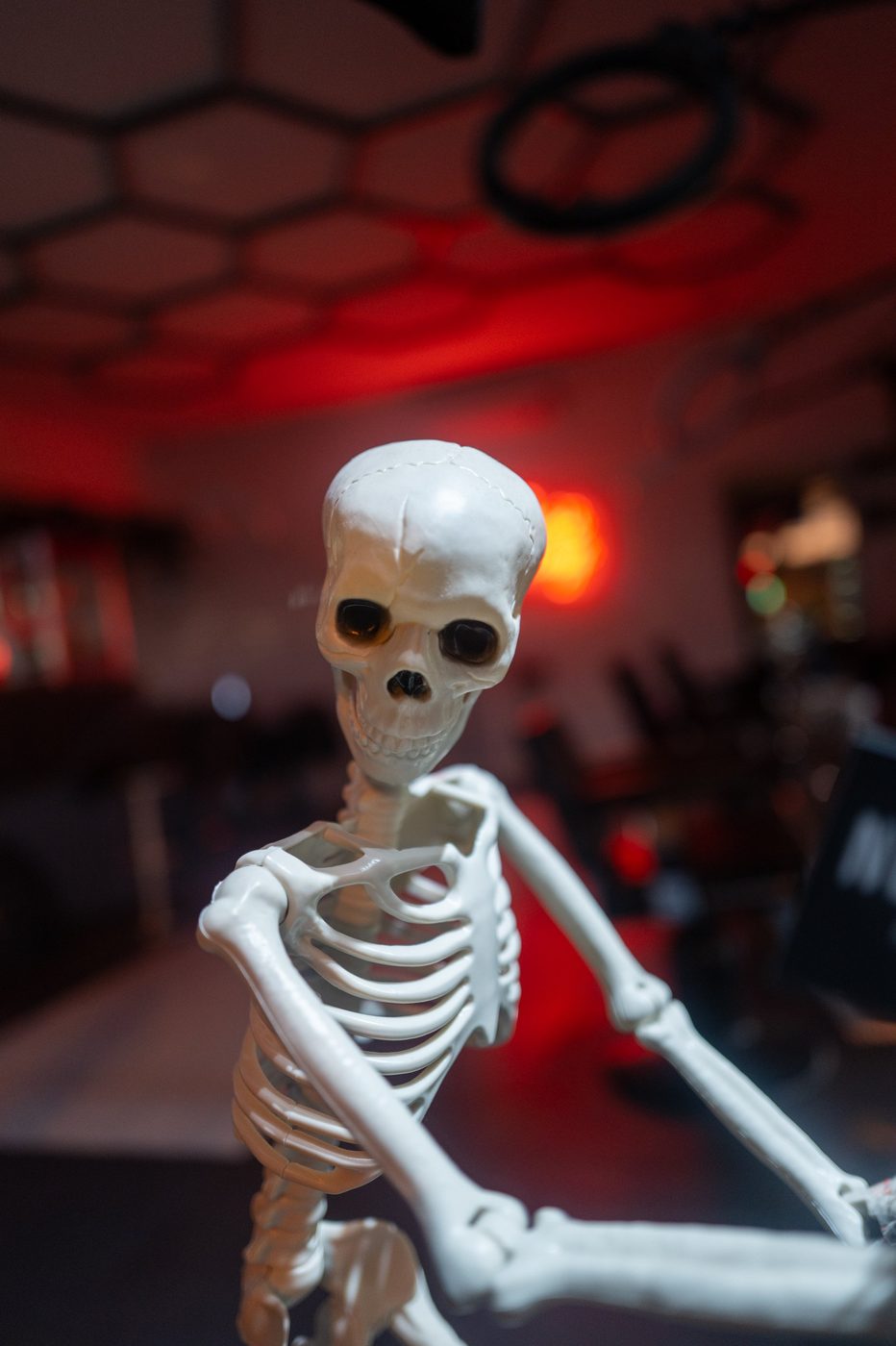 Decorative skeleton in the red light of a bar, Vienna