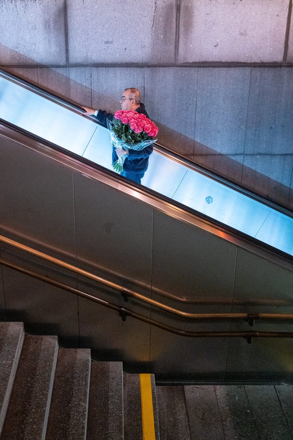 Man going down an escalator with a bouquet of roses, Vienna