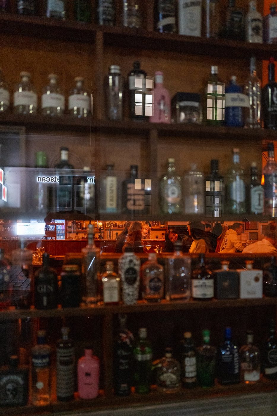 Shelf stocked with gin bottles in a bar, Vienna