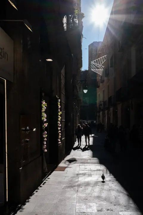 Ruelle etroite et ombragee du quartier gothique, Barcelone