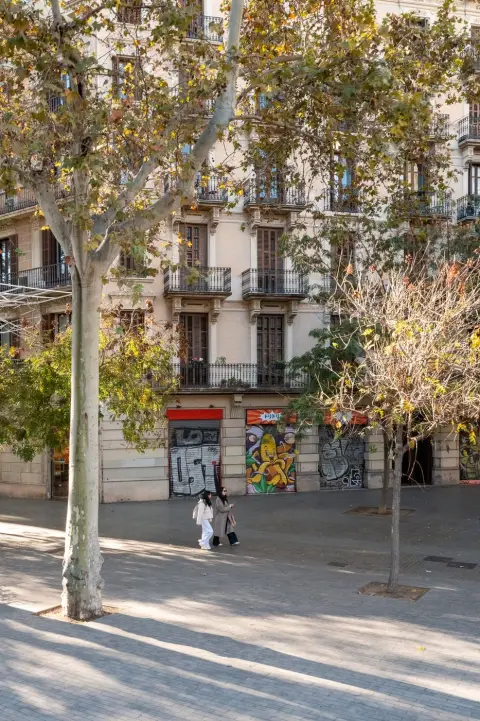 Rangee d'arbres le long d'une avenue, Barcelone