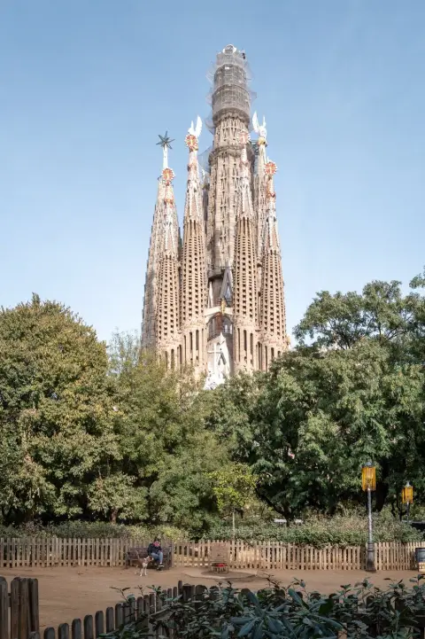 Tour de la Sagrada Familia au-dessus des arbres, Barcelone