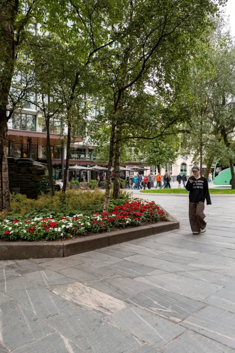 A passer-by walking past a bed of red flowers on a square, Bergen