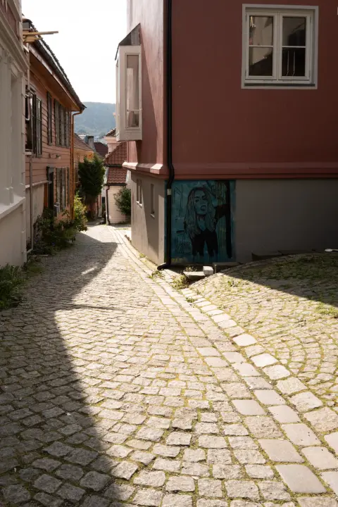A cobbled lane between wooden houses, in the light, Bergen