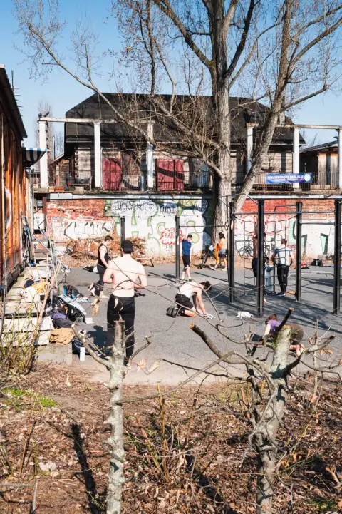 Groupe de sportifs s'entraînant sur des barres devant un mur graffé, Berlin