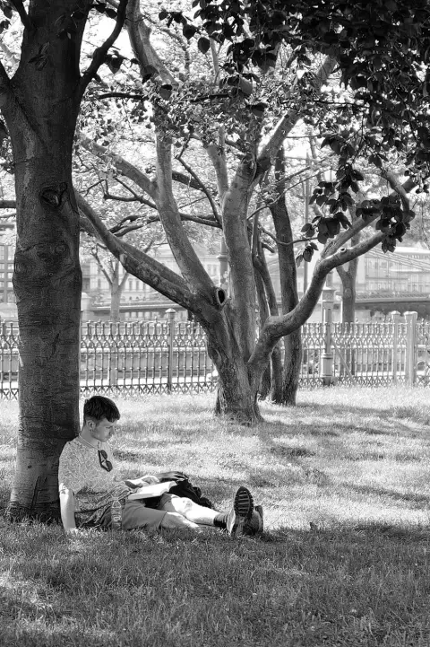 Un jeune homme lisant assis au pied d'un arbre dans un parc, Budapest