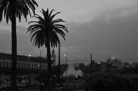 Palmiers se decoupant devant une fontaine illuminee au crepuscule, Casablanca
