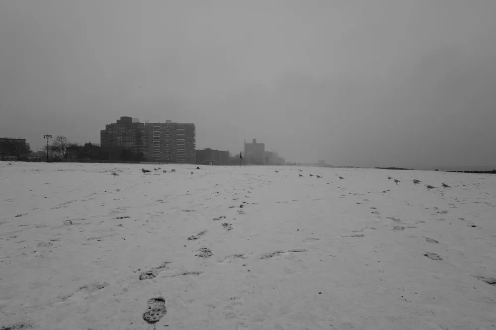 Empreintes de pas et mouettes sur la plage enneigee de Coney Island