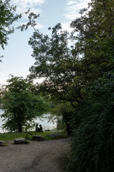 A path under the trees leading to a lake shore where a couple sits, Copenhagen
