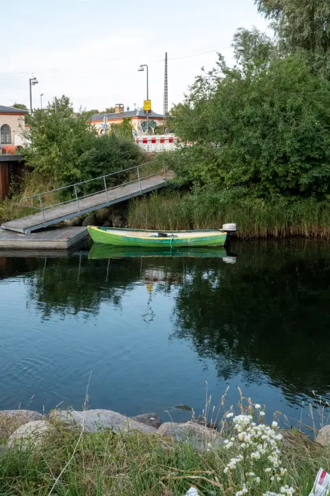 A green rowing boat on a calm canal lined with reeds, Copenhagen