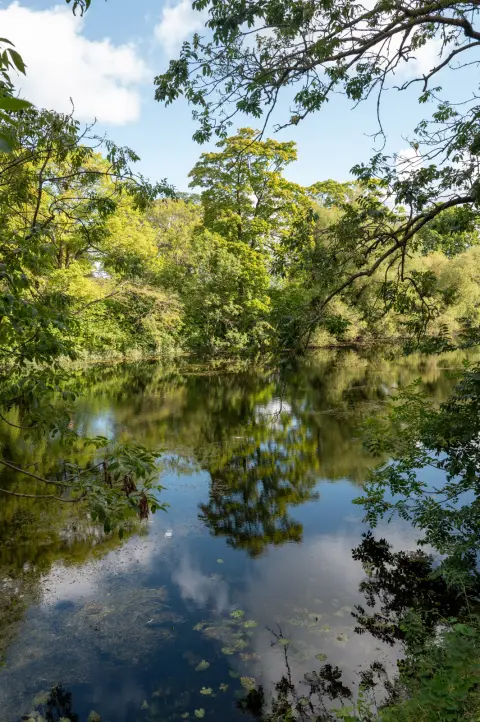 Trees and clouds reflected in the calm moats of the Kastellet, Copenhagen