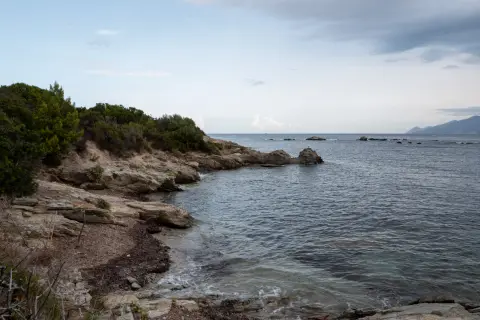 Petite crique bordée de maquis, la mer calme au petit matin, Corse