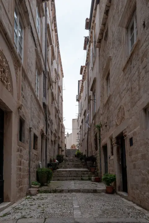 Ruelle pavee en escalier bordee de plantes en pot, Dubrovnik